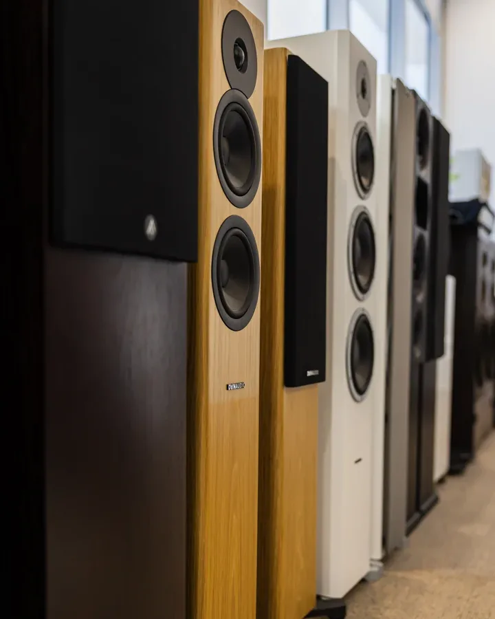 A portrait view along the speaker display inside Audio Revival
